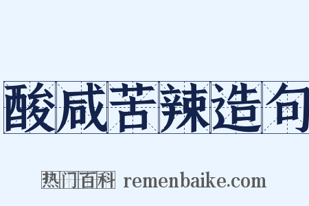 酸咸苦辣造句是什么意思的图片